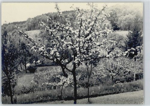 5106 Veltheim AG - Foto ca. 13x18 cm