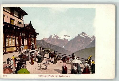 Schynige Platte - Hotel Terrasse Wetterhorn