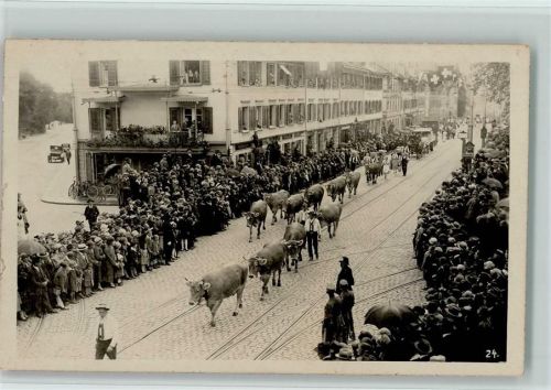 9000 St. Gallen S. Gallo - Alpabtrieb