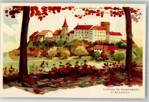 8158 Regensberg Lithographie Schloss Regensberg