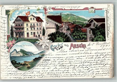 3703 Aeschi b. Spiez 1901 BOAKC Pension Edelweiss