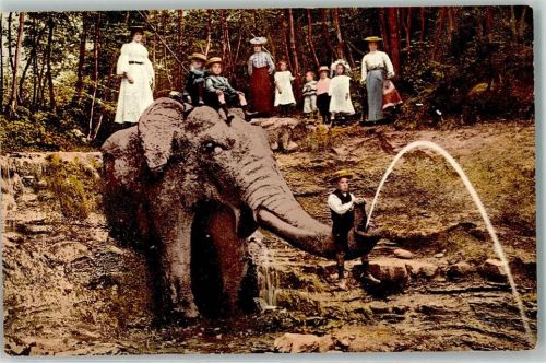 Zürichberg - Elephantenbach