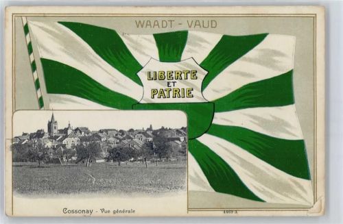 1304 Cossonay-Ville - Fahne