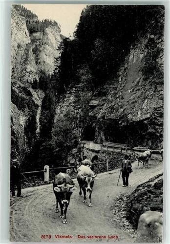 Viamala - Das verlorene Loch Kuhherde