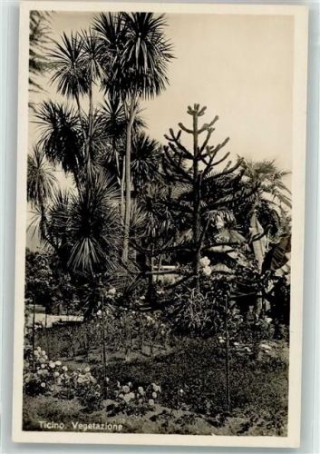 Foto AK Garten Ticino