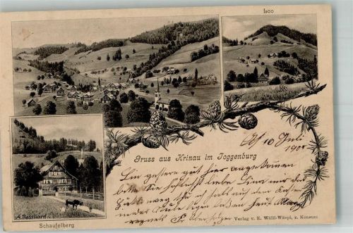 9622 Krinau 1905 Foto AK Schaufelberg Loo