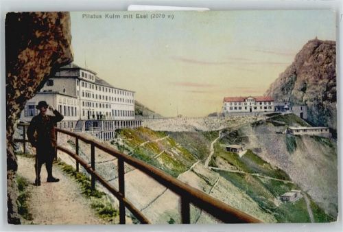 6010 Pilatus Kulm - Teulansicht mit Esel