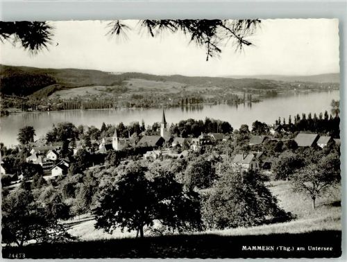 8265 Mammern 1968 Foto AK Untersee
