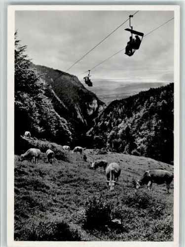 4515 Weissenstein b. Solothurn - Bergbahn Blick auf das Seeland Kühe