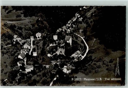 2953 Pleujouse - Fliegeraufnahme