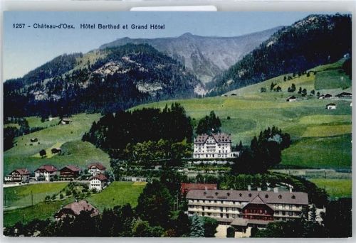 1660 Château-d'Oex - Hotel Berthod, Grand Hotel AKU2