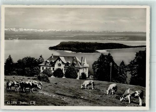 2515 Prêles - Kühe Hotel Pension de l'Ours