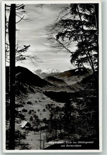 6363 Bürgenstock - Oberbürgental