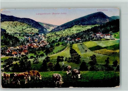 4438 Langenbruck 1915 - Panoramaansicht Kuhweide