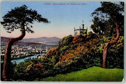 4600 Olten - Sälischlössli