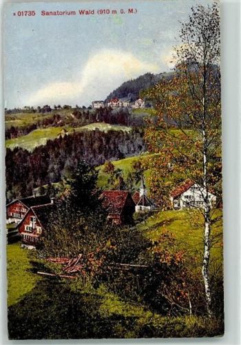 8636 Wald ZH 1914 - Sanatorium