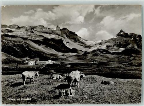 Tannalp Foto AK Graustock Kühe Berghaus