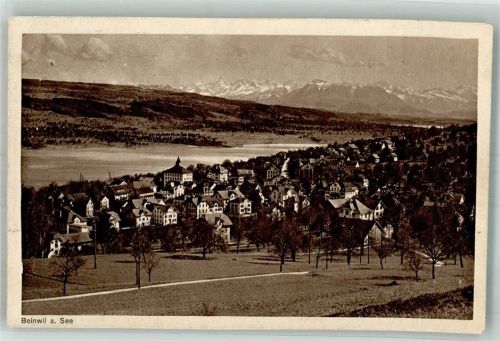 5712 Beinwil am See 1919 Foto AK