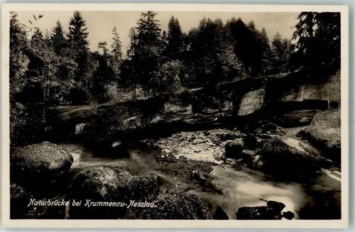 9650 Nesslau - Naturbrücke bei Krummenau