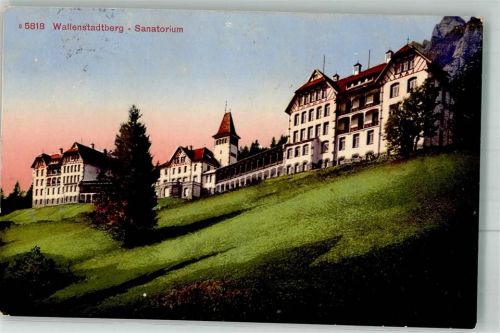 8881 Walenstadtberg 1915 Foto AK Sanatorium