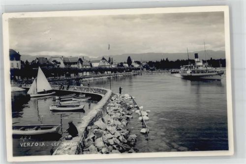 1290 Versoix - Hafen , Angler
