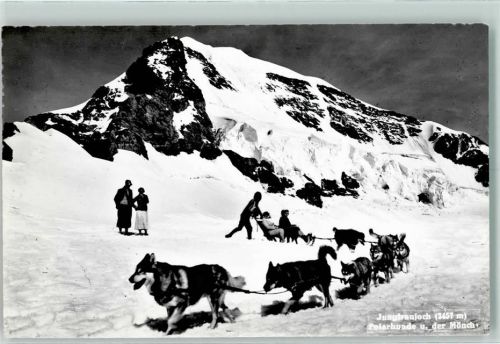 3801 Jungfraujoch - Polarhunde un der Mönch Winter Hundeschlitten