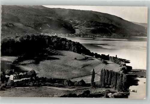 3235 Erlach Foto AK Fliegeraufnahme Hotel St. Petersinsel Bielersee