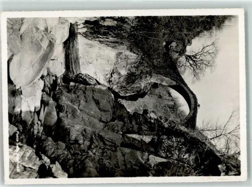 6655 Intragna - Ponte nelle