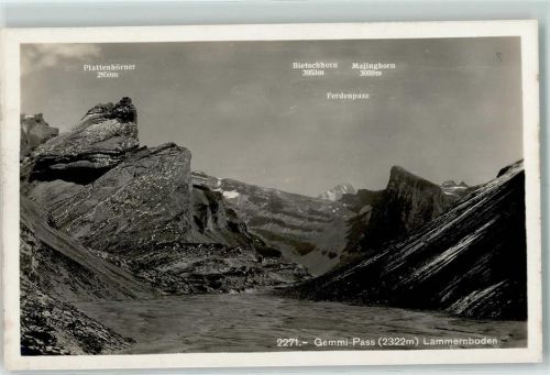 Gemmipass Wallis - Lämmernboden