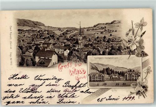 8636 Wald ZH 1899 - Lungen Sanatorium