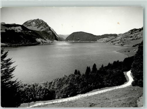 8858 Innerthal Wägital Gebrauchsspuren Wägitalsee