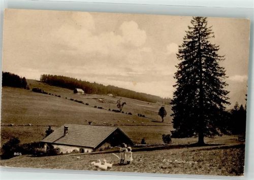 Auf dem Berg Sennhütte Kinder Gänse