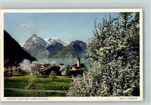 6452 Sisikon - Urirotstock phot. J. Gaberell 2315