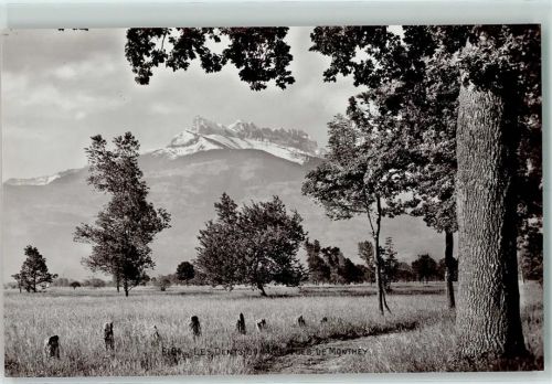 1870 Monthey - Dents du Midi