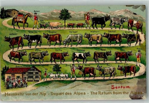 1915 Gebrauchsspuren Prägedruck Edition Guggenheim Abtrieb Heimkehr von der Alp