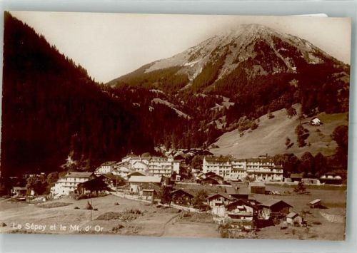 1863 Le Sépey Ormont-Dessous Foto AK