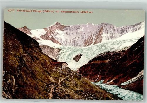 Grindelwald Foto AK Grindelwald Bäregg