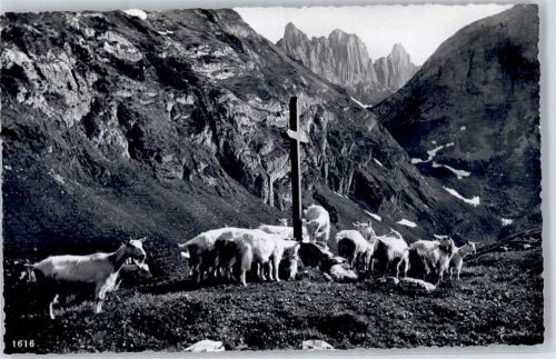 Alpstein - Kreuzberge