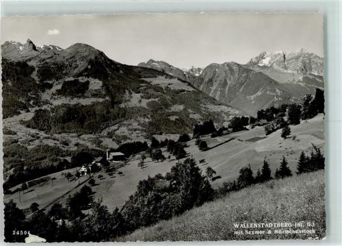 8881 Walenstadtberg - Foto Gross 21504