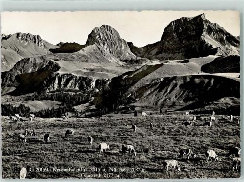 Gantrisch - Nünenen Krummfadenfluh Kuhherde