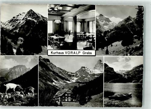 9472 Grabs Foto AK Kurhaus Voralp Ziegen Foto Gross