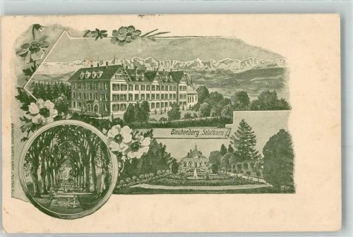 4562 Bleichenberg 1913 - Solothurn