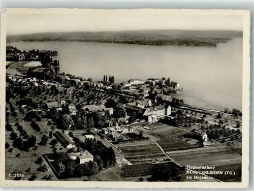8596 Münsterlingen Foto AK Fliegeraufnahme