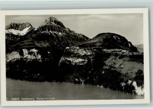 6377 Seelisberg - Gesamtansicht