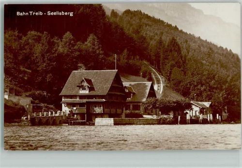 6377 Seelisberg - Bahn Treib
