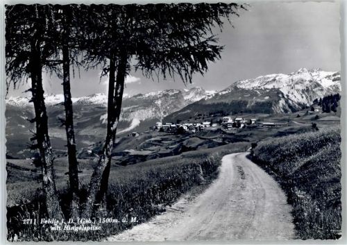 Feldis - Strasse ins Dorf