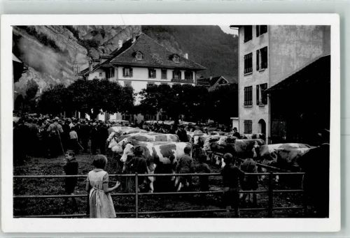 3800 Unterseen Foto AK Hotel Stadthaus Viehprämierung Kühe