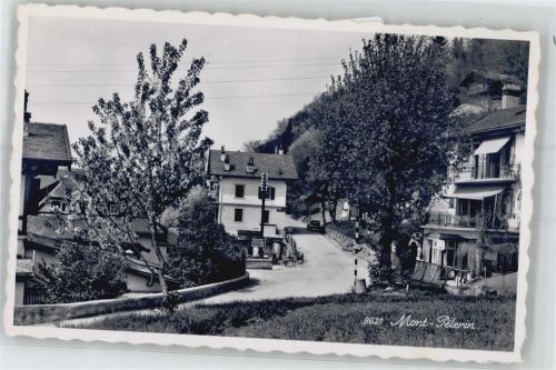 Mont Pelerin 1954