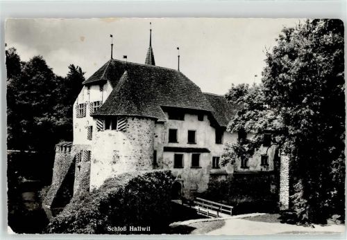 5705 Hallwil 1964 - Schloss