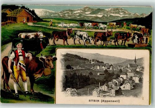 9063 Stein AR 1917 Lithographie Alpauftrieb Tracht Pfeife